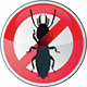 Exterminate Pests, Insects, Termites & Rodents